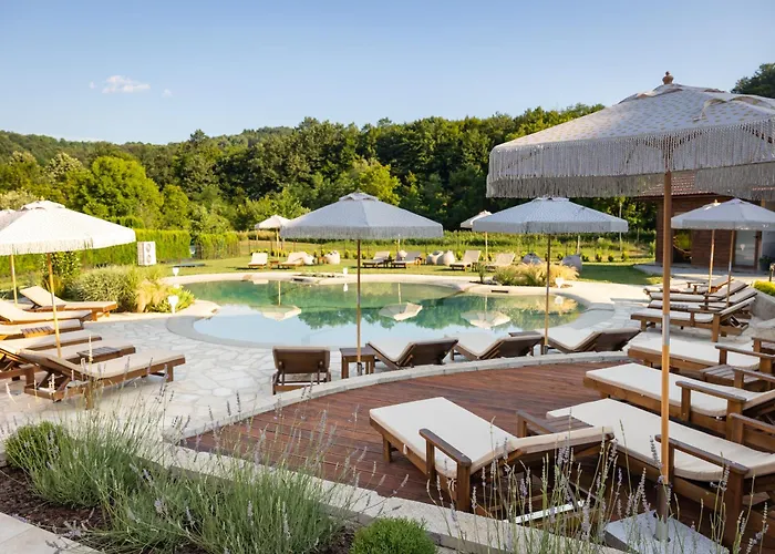 бащината стряха *